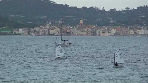 LA SILA REGATES DE VOILE OPTIMISTES A SAINTE-MAXIME