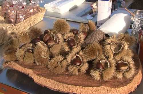 FETE DE LA CHATAIGNE A COLLOBRIERE