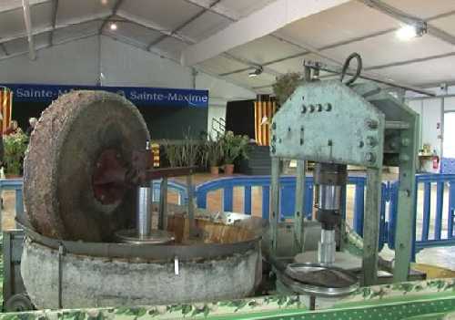 FETE DE L'HUILE D'OLIVE 2009 A SAINTE MAXIME