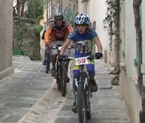 RUELLES DE GRIMAUD 2009