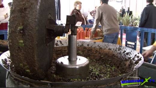 DEMONSTRATION DE LA TRITURATION DES OLIVES, ARTISANS ET VIEUX METIERS