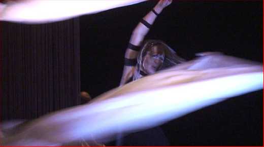 SEPCTACLE ALASKA FOREVER A SAINTE MAXIME