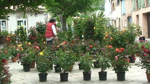 LE PLAN DE LA TOUR LES JOURNEES DE L’OLIVIER ET COURSE AUX OEUFS