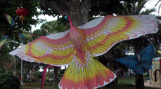 FESTIVAL DE PRINTEMPS DE SAINTE-MAXIME