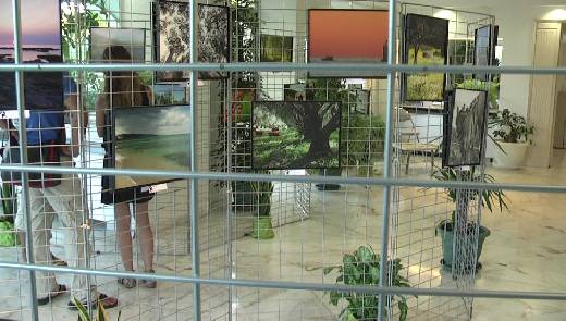 CONCOURS DE PHOTOS  " GRANDEUR NATURE " A SAINTE - MAXIME