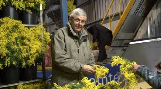 SAINTE MAXIME PREPARTION DES CHARS DU CORSO 2012
