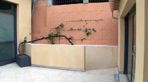 RENAISSANCE DE LA TREILLE DU CARILLON CHER AUX MAXIMOIS