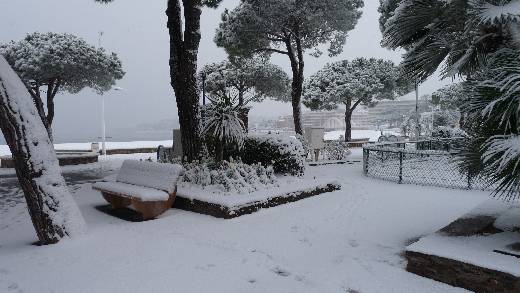 SAINTE MAXIME CHUTES DE NEIGE LE 17 JANVIER 2013
