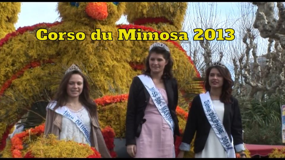  CORSO DU  MIMOSA Sainte-Maxime 2013
