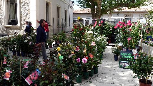 FOIRE AUX PLANTS, A L’HUILE D’OLIVE ET CONCOURS D'AIOLI