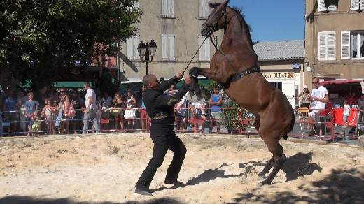 FETE EQUESTRE LA GARDE FREINET 2015