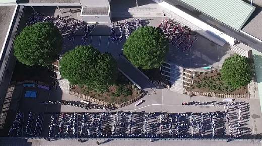 LE COLLEGE BERTY ALBRECHT SAINTE MAXIME DIT NON AU HARCELEMENT