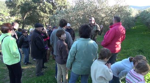 VISITE DE L'OLIVERAIE DE LA PIERRE PLANTEE DANS LE CADRE DE LA FETE DE L'HUILE 2015 A STE MAXIME