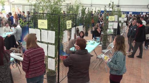 SALON JOBS D'ETE 2016 A SAINTE MAXIME