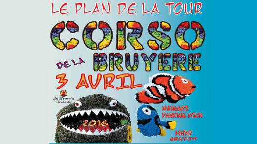 CORSO DE LA BRUYERE DU PLAN DE LA TOUR 2016