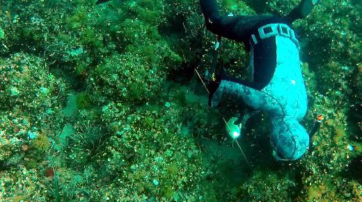 SAINTE MAXIME COUPE DE FRANCE DE PECHE SOUS-MARINE