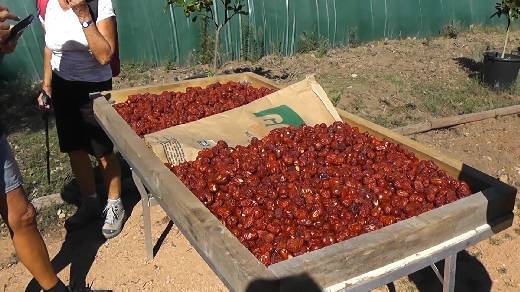 LA FERME DES BAUQUIERES AU MUY
