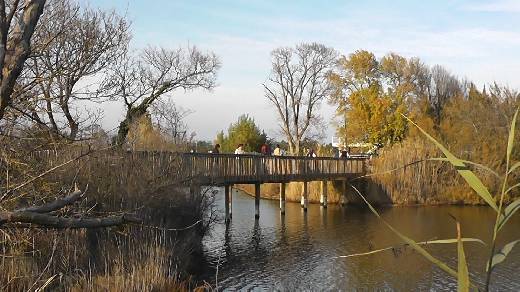 BALADE DES ETANGS DE VILLEPEY