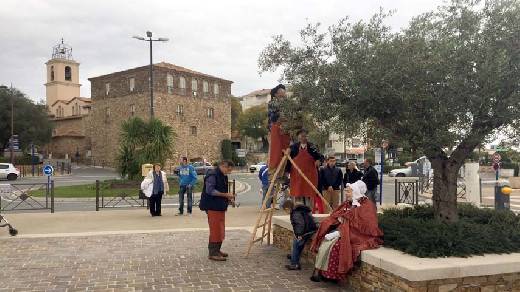 SAINTE MAXIME DEFILE ET CUEILLETTE DES OLIVES DANS LA VILLE