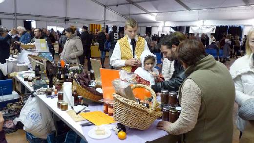 SAINTE MAXIME FETE DE L'HUILE 2016 STANDS D’ARTISANS, VIEUX METIERS