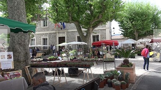 FOIRE AUX PLANTS 2017 LE PLAN DE LA TOUR