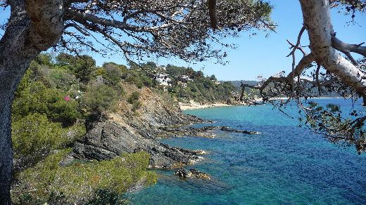RANDONNEE SUR LE SENTIER DU LITTORAL A LA CROIX VALMER