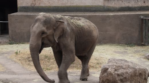 BALADE AU ZOO DE FREJUS