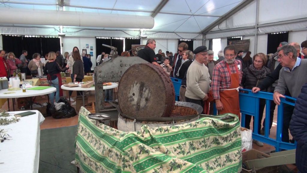 FETE DE L'HUILE DE SAINTE MAXIME 2017