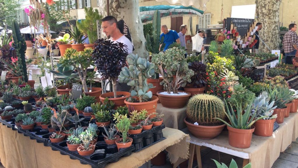 FOIRE AU PLANTS 2018