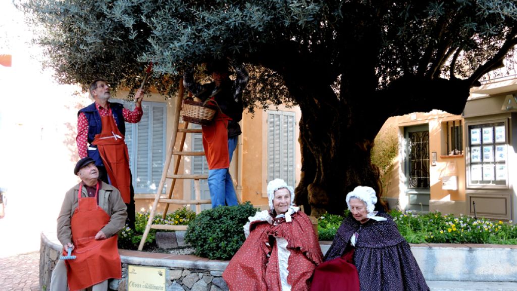 SAINTE MAXIME FETE DE L'HUILE