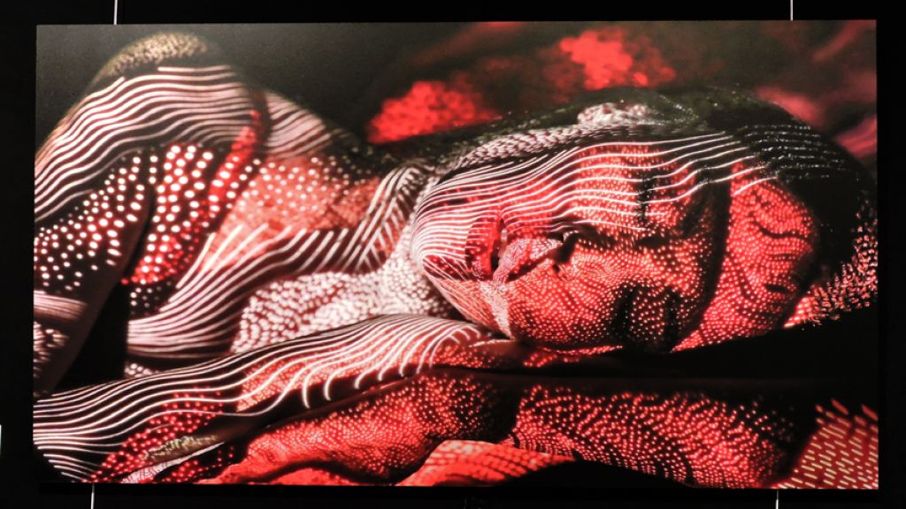 EXPOSITION  DANI OLIVIER