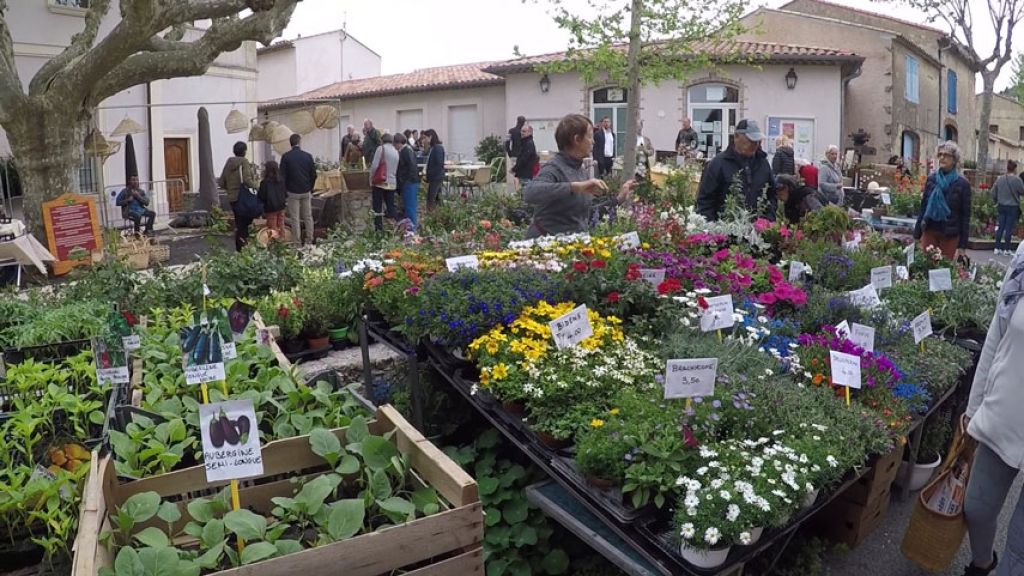 FOIRE AUX PLANTS - PLAN DE LA TOUR 2019