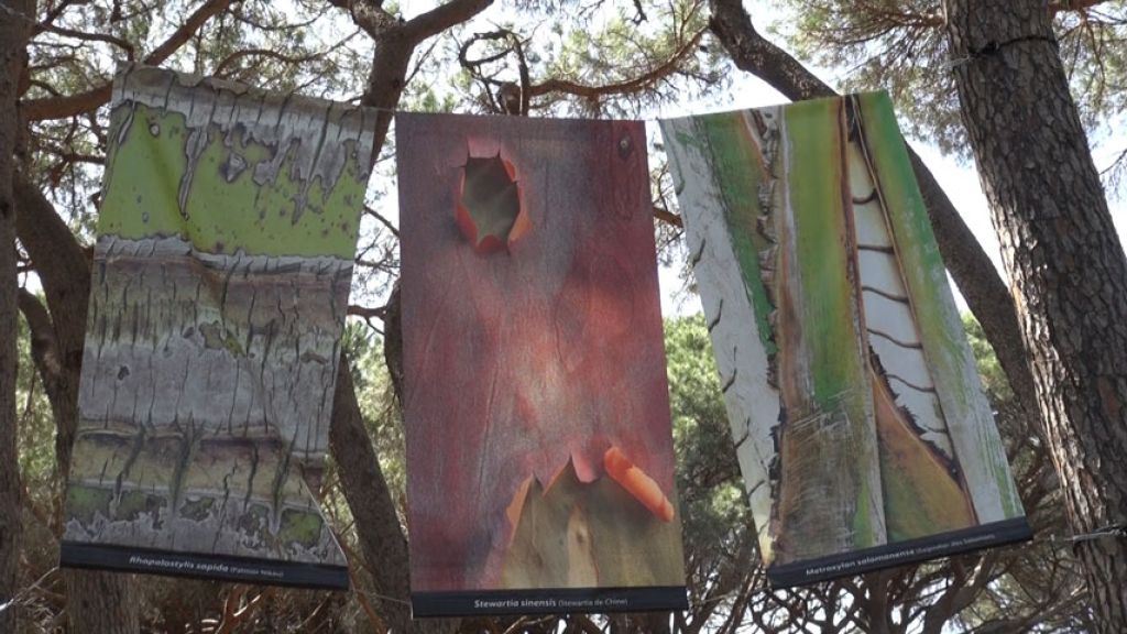 ECORCES : UNE GALERIE À CIEL OUVERT