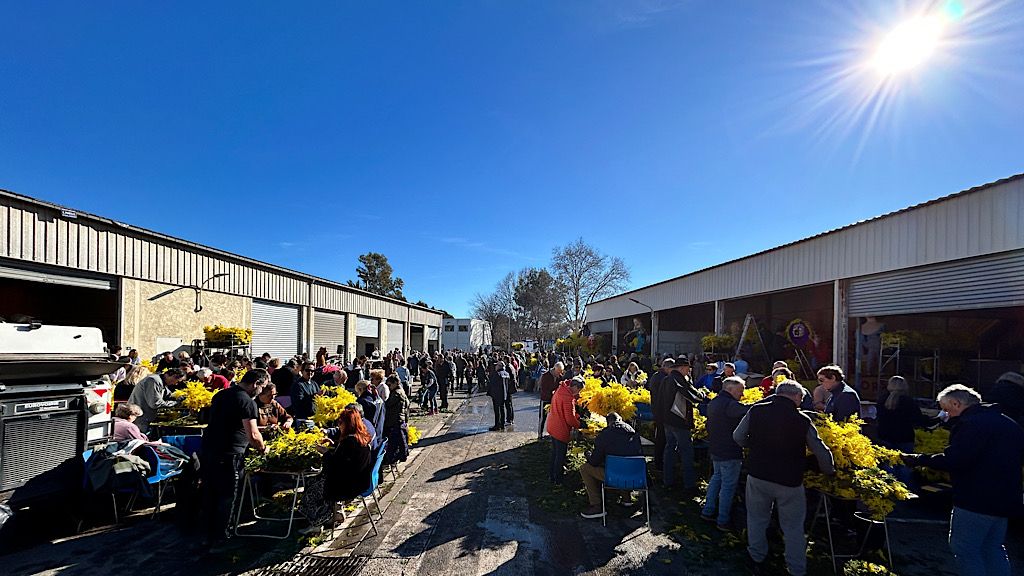 Corso mimosas Ste Maxime - Préparation des Chars par les associations