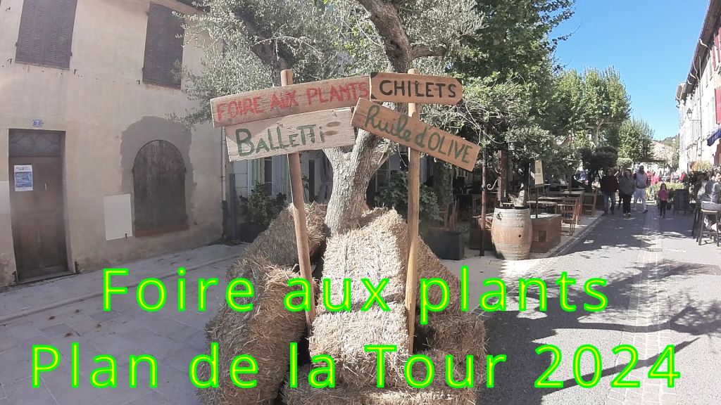 FOIRE AUX PLANTS LE PLAN DE LA TOUR