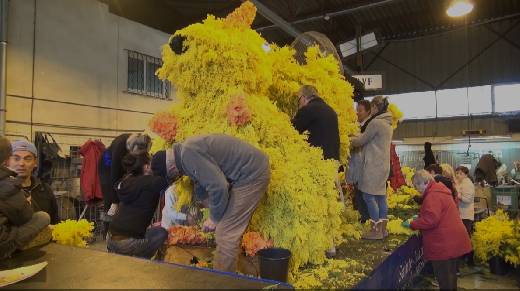 CORSO 2016 STE MAXIME PREPARATION DES CHARS