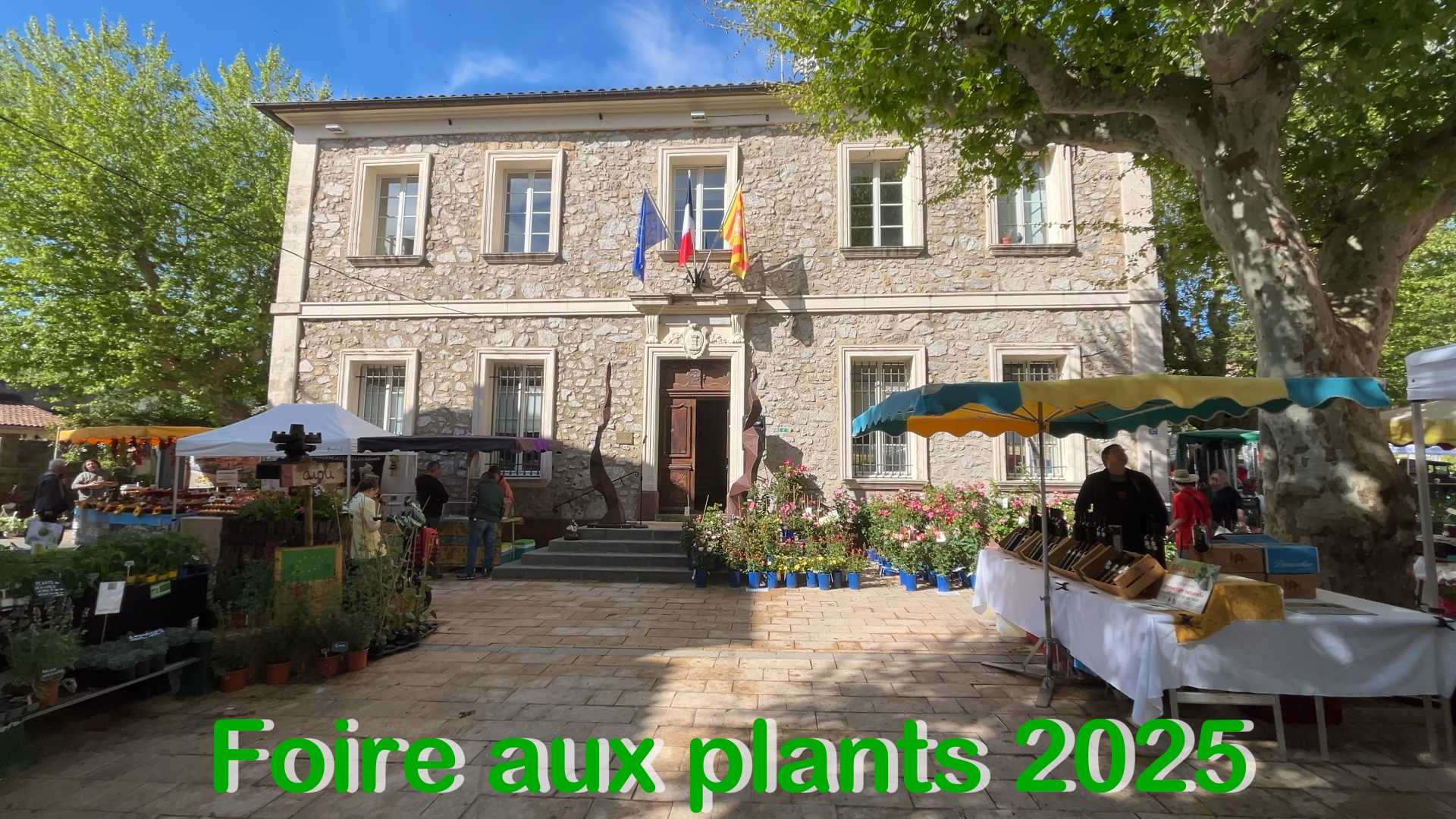 Foire aux plants 2025